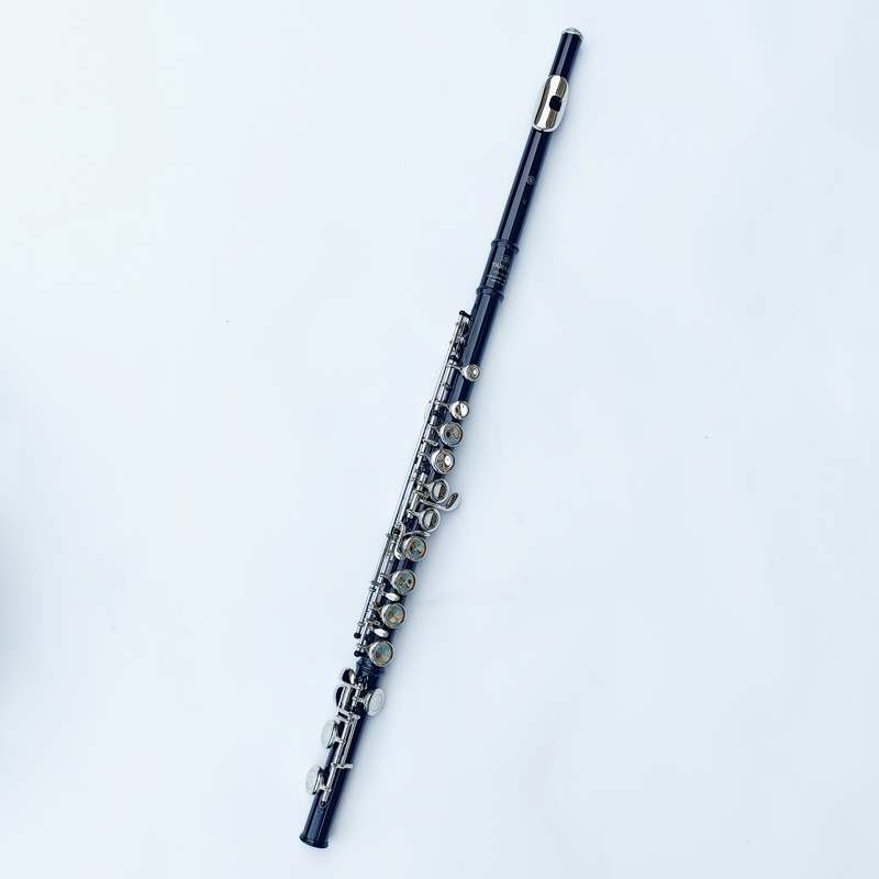 Япония 212, черная флейта с 16 – обзор и цена Musical Instrument Japan